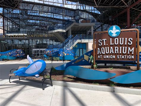 Aquarium st louis mo - Education. The St. Louis Aquarium Foundation is the nonprofit partner to the St. Louis Aquarium at Union Station. It exists to help engage all members of the community by providing access and education programs and serving as the region’s recognized voice for water stewardship. We have established and will continue to grow our educational ...